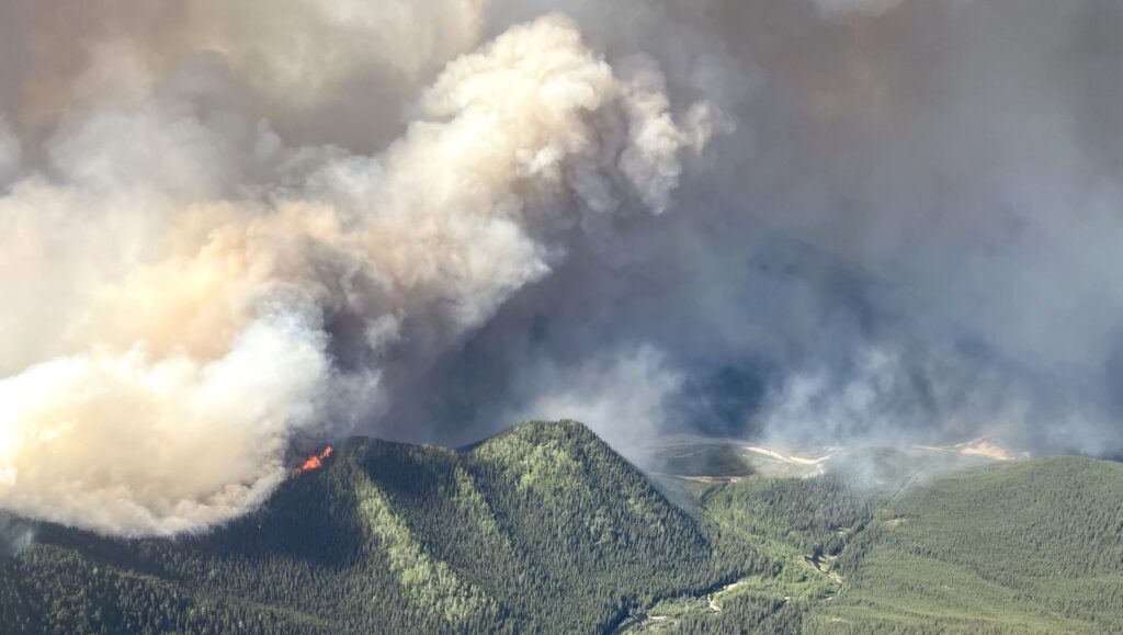 Summit Lake wildfire south flank looking north towards Highway 97 on June 8, 2025. | BC Wildfire Service photo