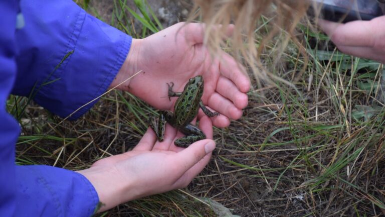 Experts call on residents to help map B.C.’s biodiversity this long weekend
