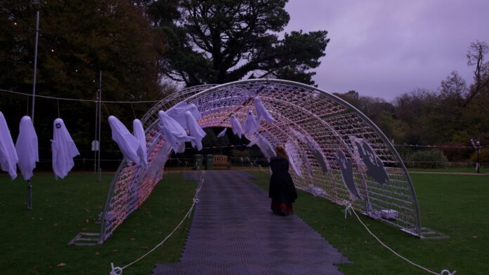 kevin-dowling-rT9_1of1miE-unsplash